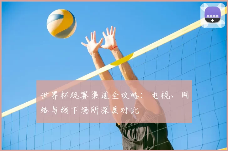 世界杯观赛渠道全攻略：电视、网络与线下场所深度对比