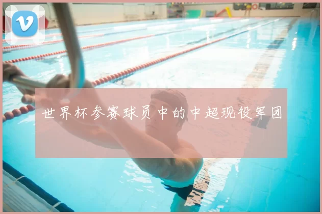 世界杯参赛球员中的中超现役军团