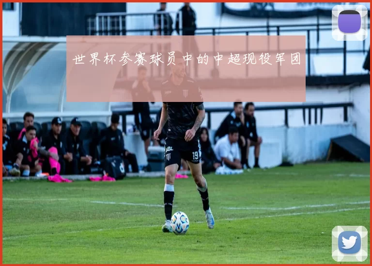 世界杯参赛球员中的中超现役军团