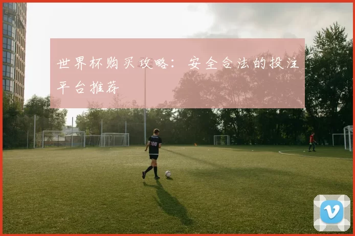 世界杯购买攻略：安全合法的投注平台推荐