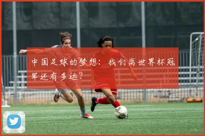 中国足球的梦想:我们离世界杯冠军还有多远?
