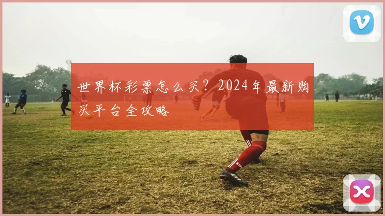 世界杯彩票怎么买?2024年最新购买平台全攻略