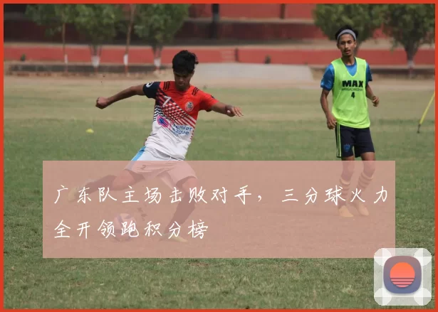 广东队主场击败对手,三分球火力全开领跑积分榜