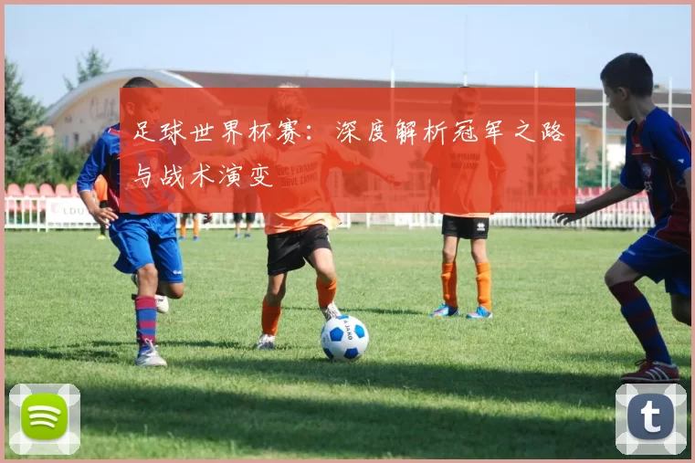 足球世界杯赛：深度解析冠军之路与战术演变
