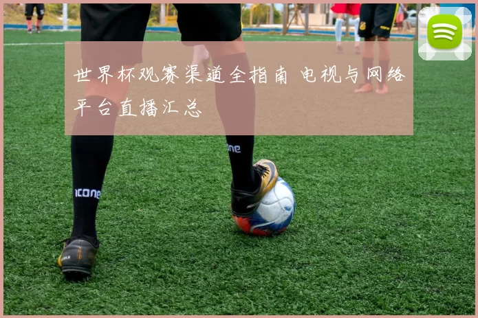 世界杯观赛渠道全指南 电视与网络平台直播汇总