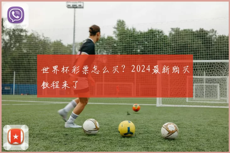 世界杯彩票怎么买？2024最新购买教程来了