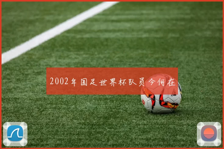 2002年国足世界杯队员今何在
