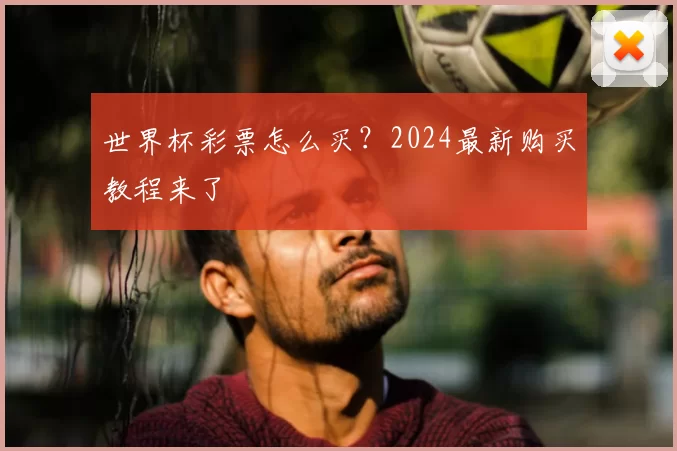世界杯彩票怎么买？2024最新购买教程来了