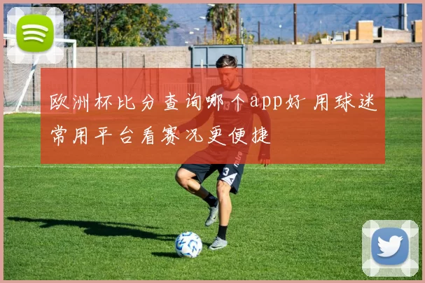 欧洲杯比分查询哪个app好 用球迷常用平台看赛况更便捷